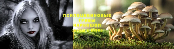 индика Беслан