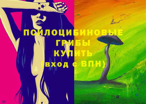 прущие грибы Нягань