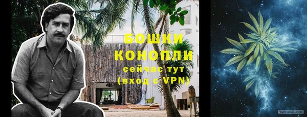 прущие грибы Нягань