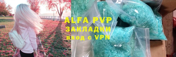 прущие грибы Нягань